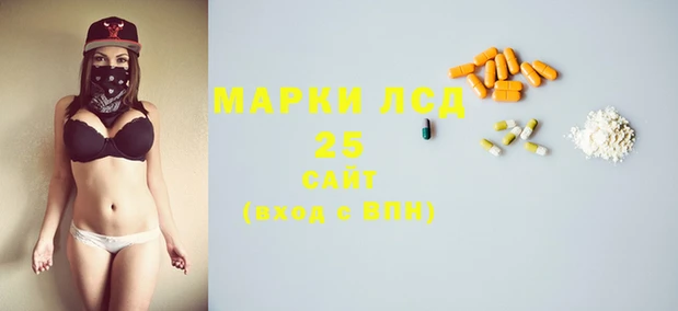 хмурый Пересвет