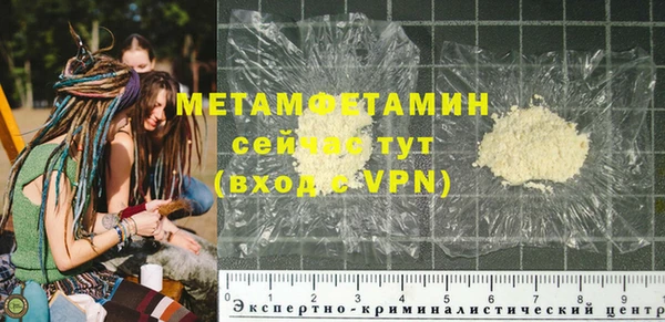 хмурый Пересвет