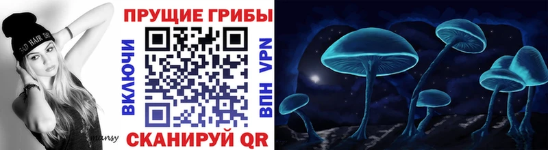 Псилоцибиновые грибы MAGIC MUSHROOMS магазин наркотиков Давлеканово